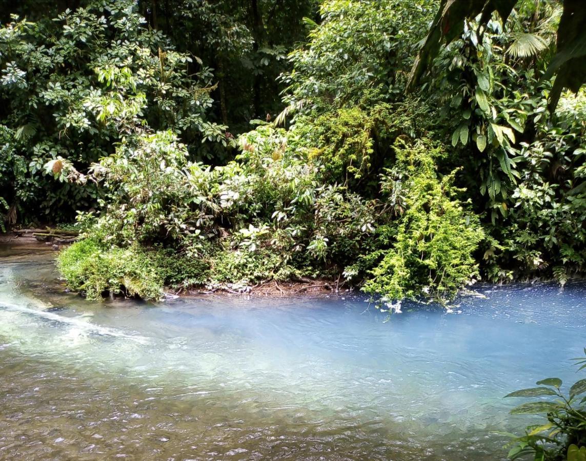 Cabinas El Pilon Rio Celeste Ngoại thất bức ảnh