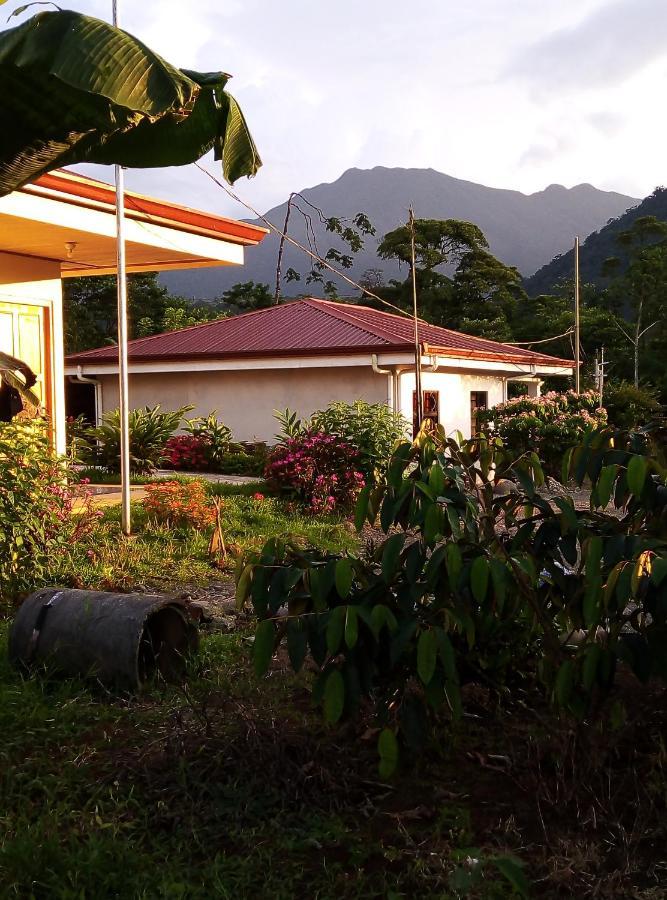 Cabinas El Pilon Rio Celeste Ngoại thất bức ảnh