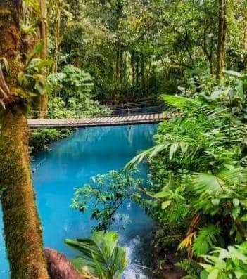 Cabinas El Pilon Rio Celeste Ngoại thất bức ảnh
