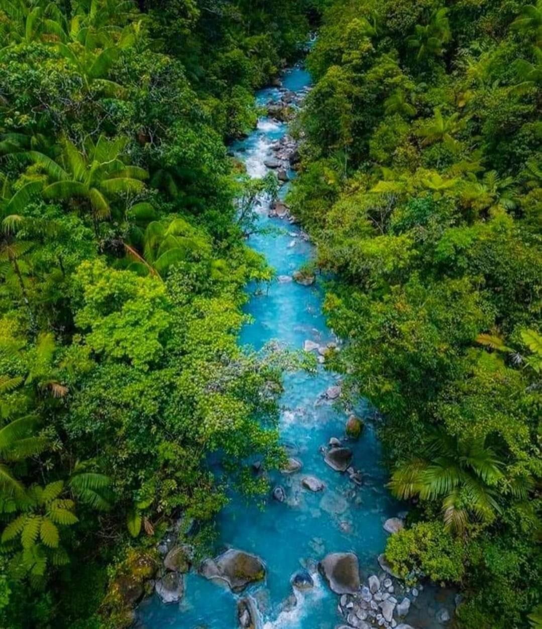 Cabinas El Pilon Rio Celeste Ngoại thất bức ảnh