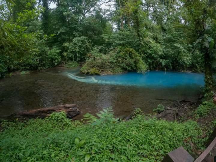 Cabinas El Pilon Rio Celeste Ngoại thất bức ảnh