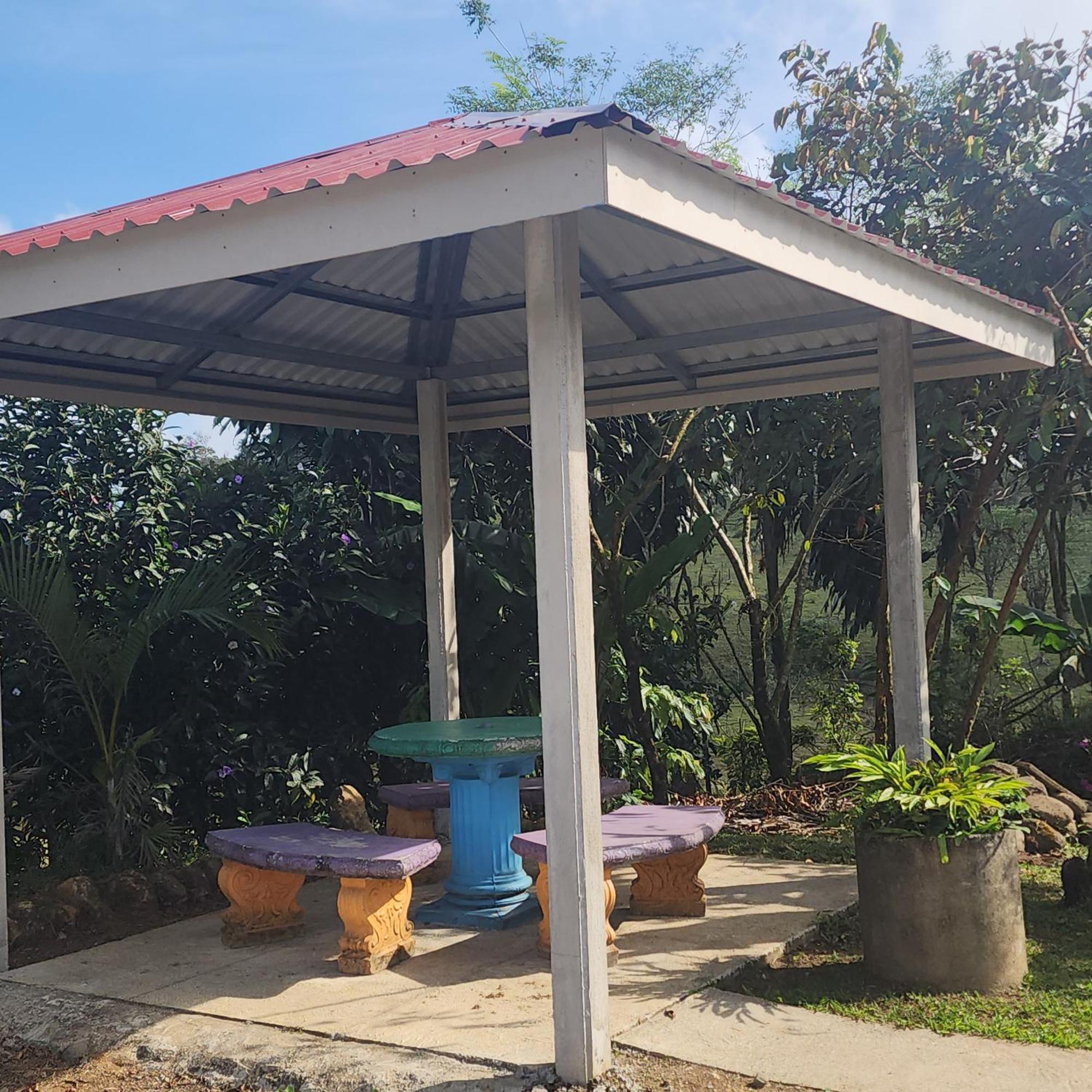 Cabinas El Pilon Rio Celeste Ngoại thất bức ảnh
